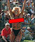 Tiger streaker